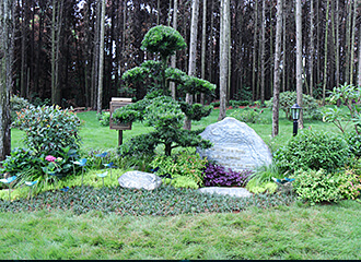 创新开发林地小型树葬艺术墓