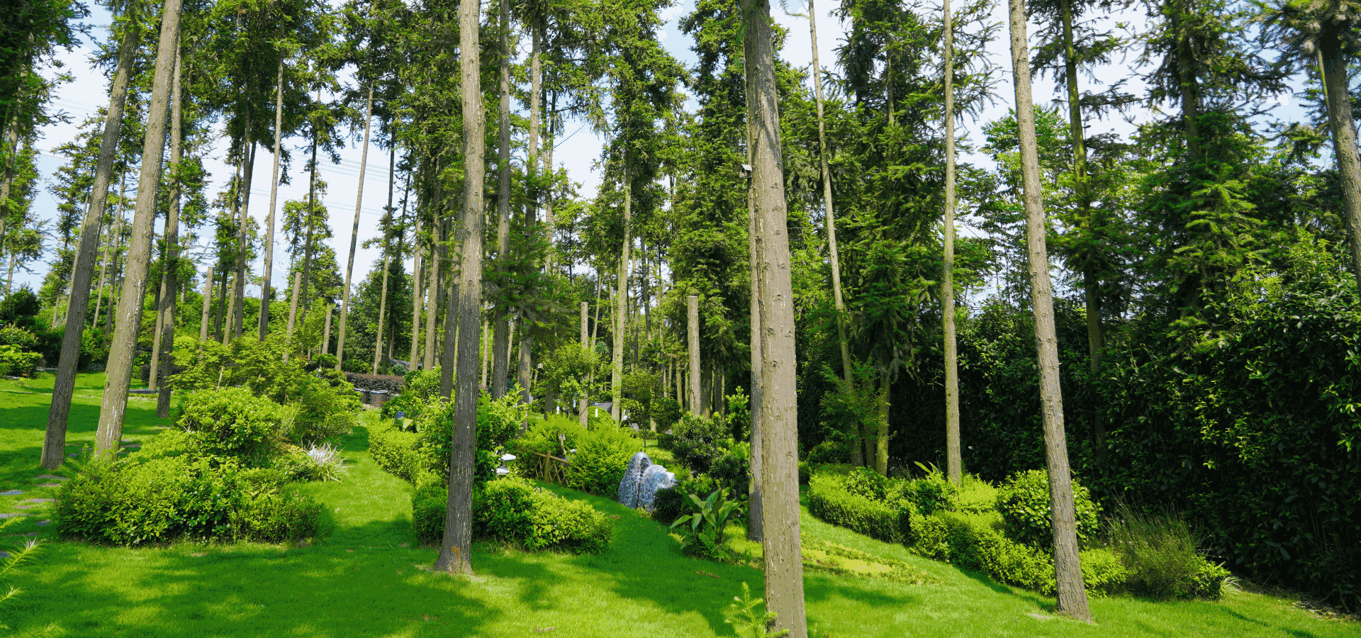 茶竹园墓园风光 仙鹤湖墓地陵园