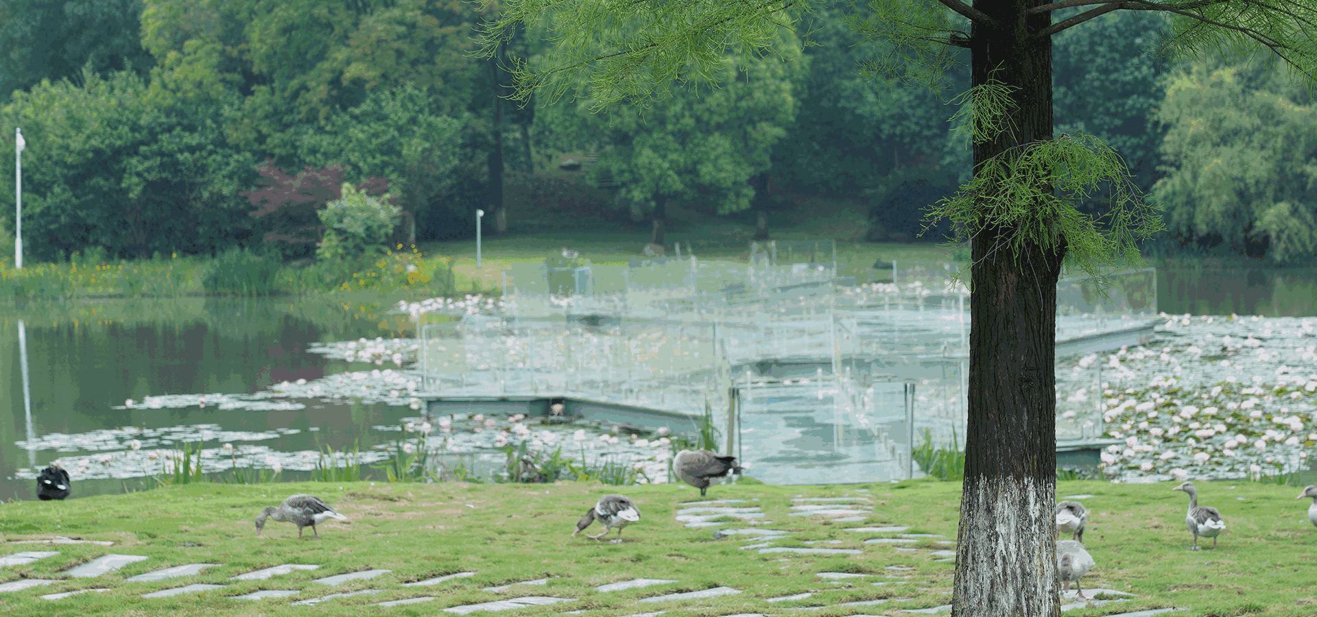 鹤舞园墓园风光 仙鹤湖墓地陵园