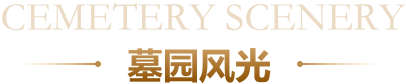 墓园风光