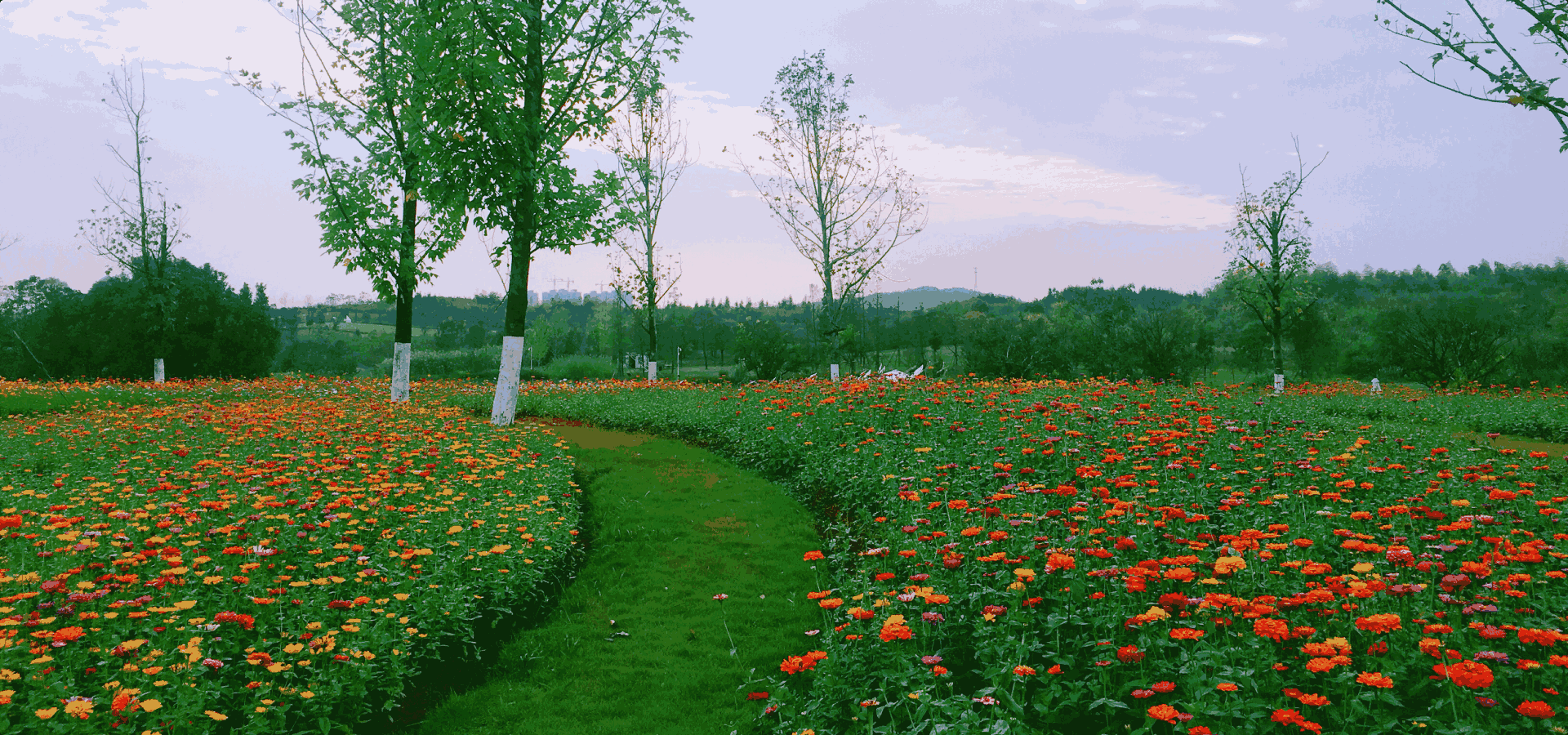 雪梅园墓园风光 仙鹤湖墓地陵园