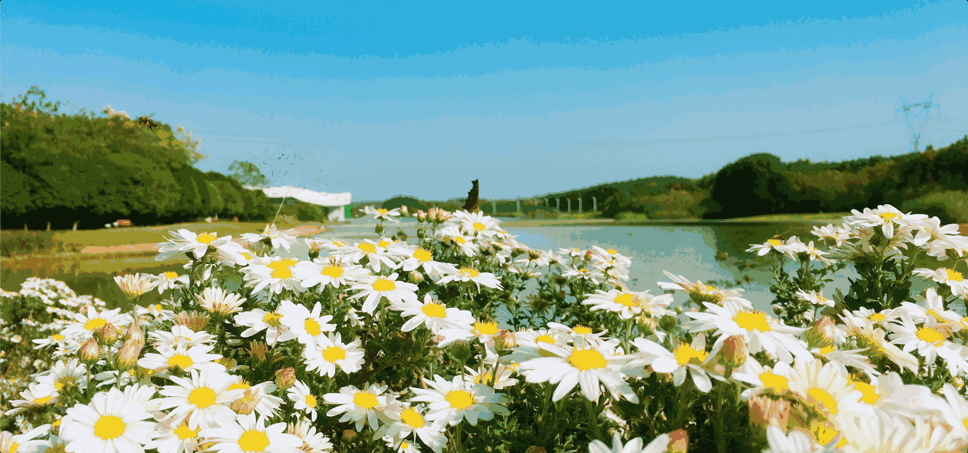 雪梅园墓园风光 仙鹤湖墓地陵园