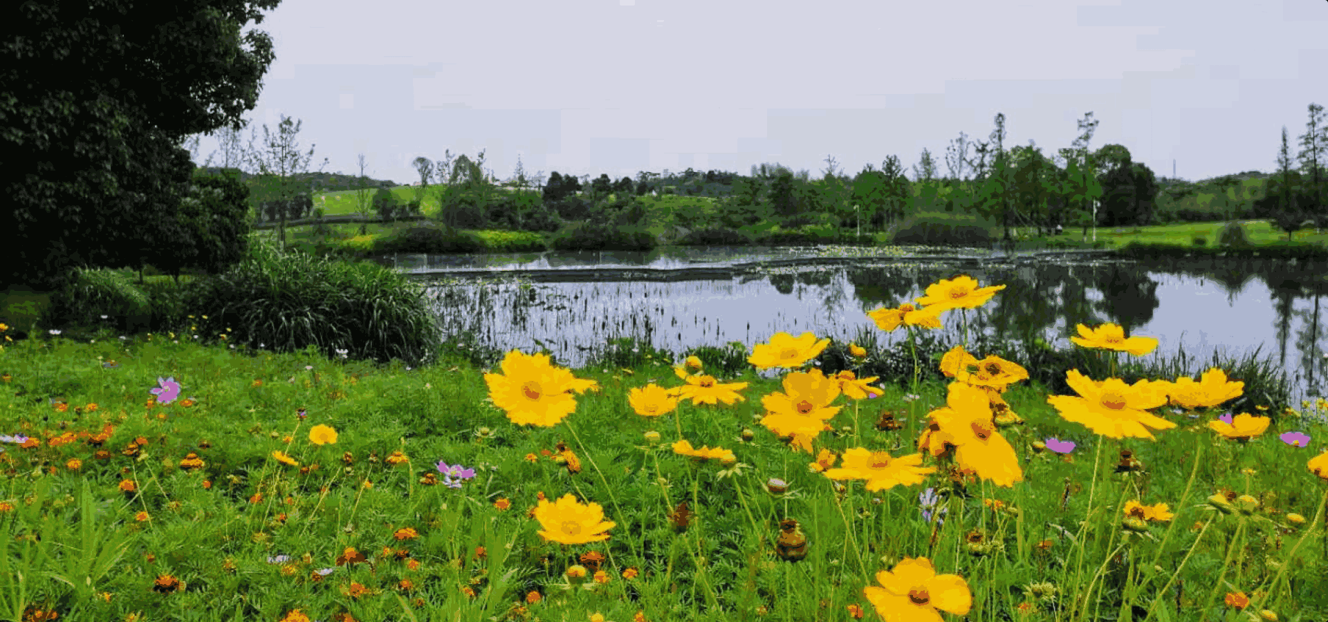 雪梅园墓园风光 仙鹤湖墓地陵园
