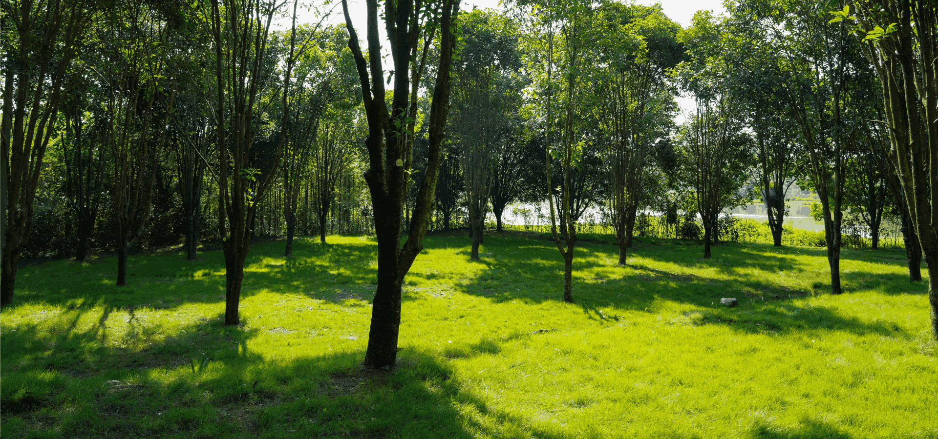 雪梅园墓园风光 仙鹤湖墓地陵园