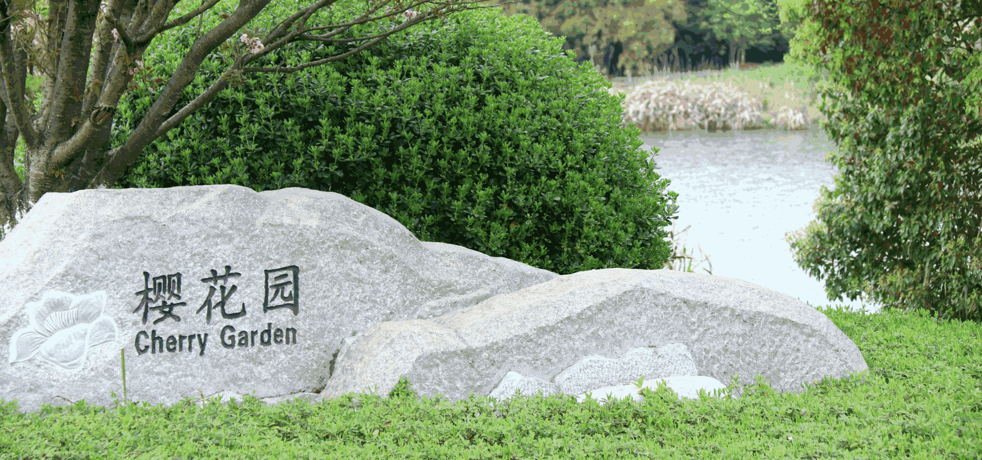 樱花园 墓园风光 仙鹤湖墓地陵园