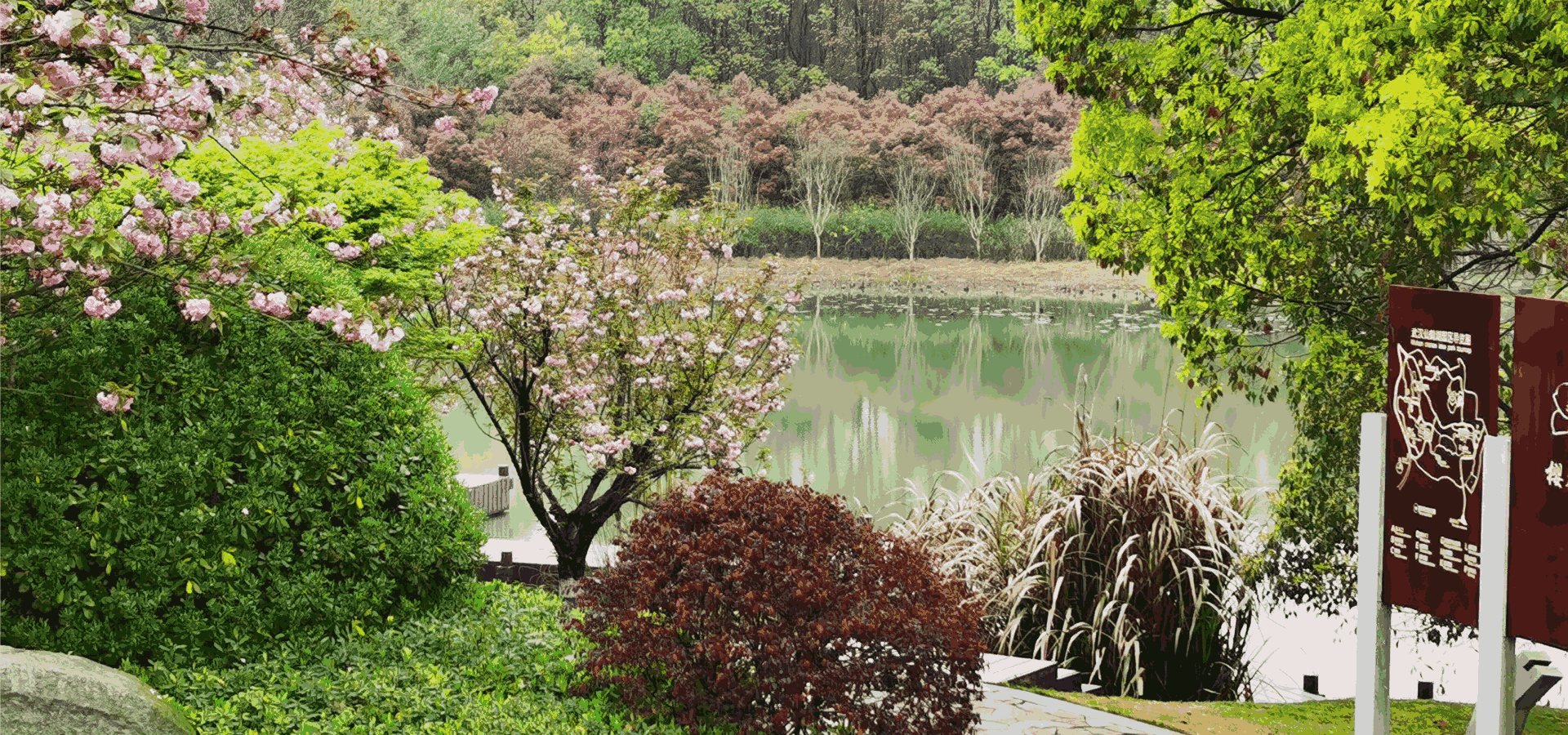 樱花园 墓园风光 仙鹤湖墓地陵园
