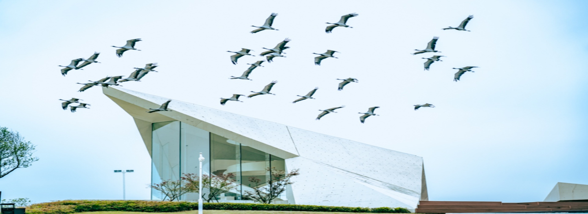  湖北墓地 仙鹤湖墓地陵园