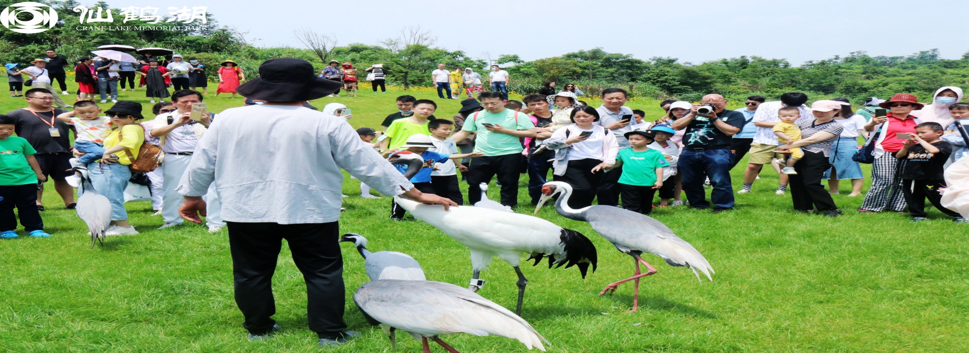 湖北墓地 仙鹤湖墓地陵园