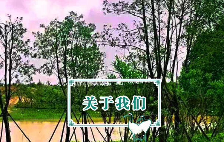w1