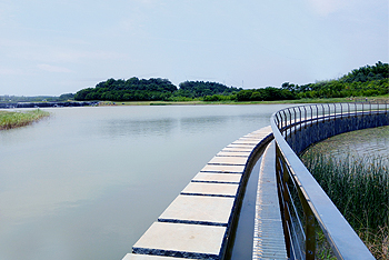 武汉仙鹤湖湿地公园图片